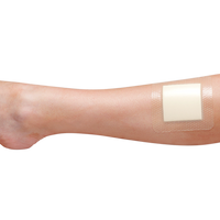 Adhesive Foam Dressings 10 x 10cm Box/2