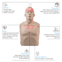 BRAYDEN Pulse CPR Manikin With Lights