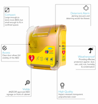 CARDIACT Alarmed AED Cabinet Yellow - 41 x 33 x 19cm