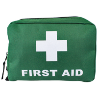 Small Green First Aid Bag 21 x 15 x 7.5cm