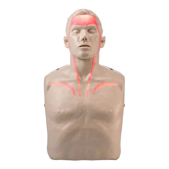 4-Pack BRAYDEN CPR Manikins - With Lights – With Trolley Bag