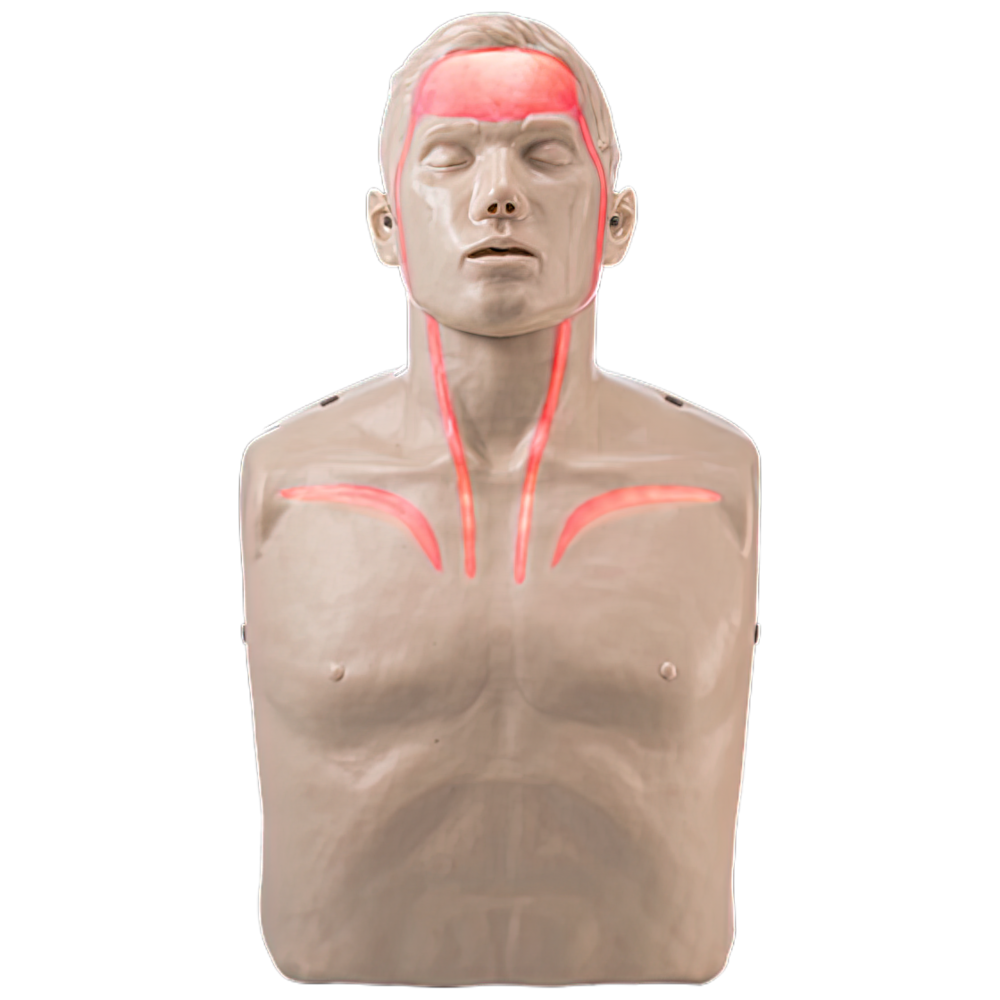 Brayden Pro CPR Manikin - Bluetooth Connectivity