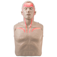 Brayden Pro CPR Manikin - Bluetooth Connectivity
