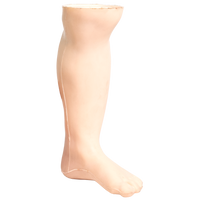 Demo Leg Infant 19 × 10 × 6 cm